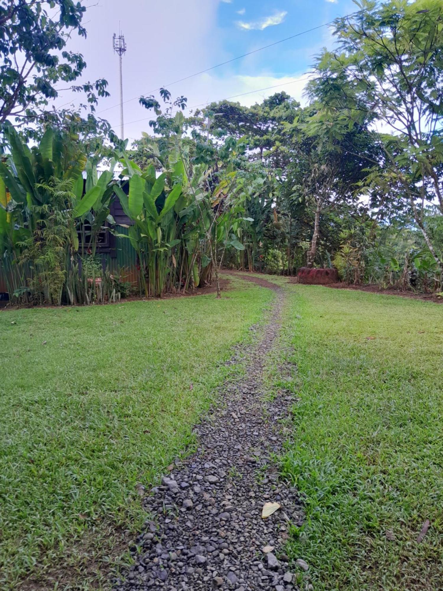 Finca La Puesta Del Sol - Miramar De Sierpe Szoba fotó