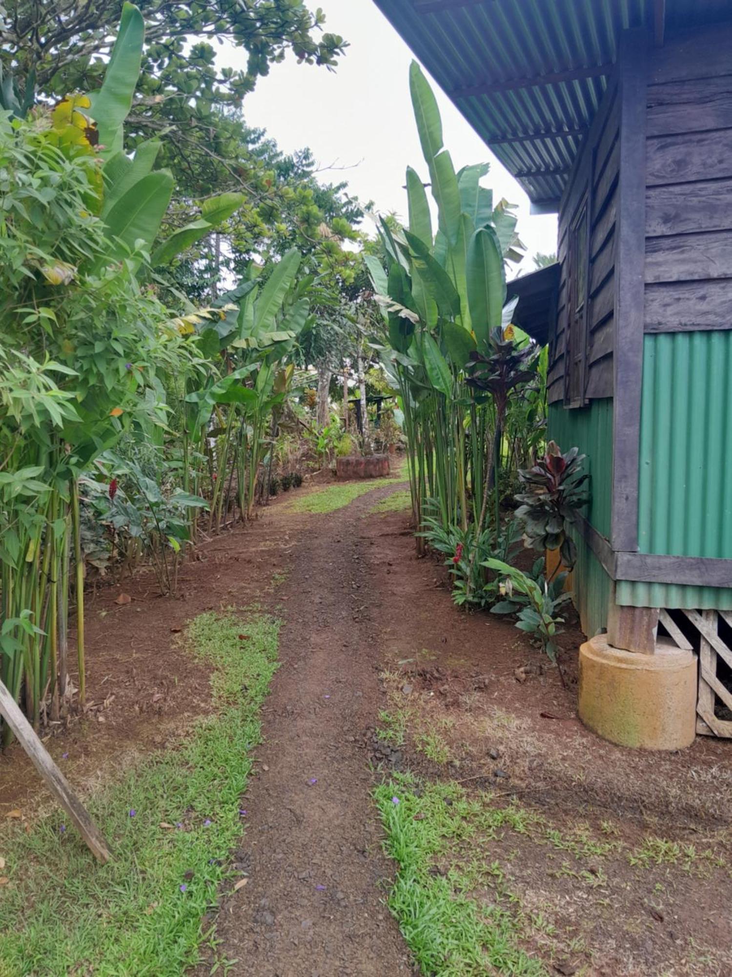 Finca La Puesta Del Sol - Miramar De Sierpe Szoba fotó