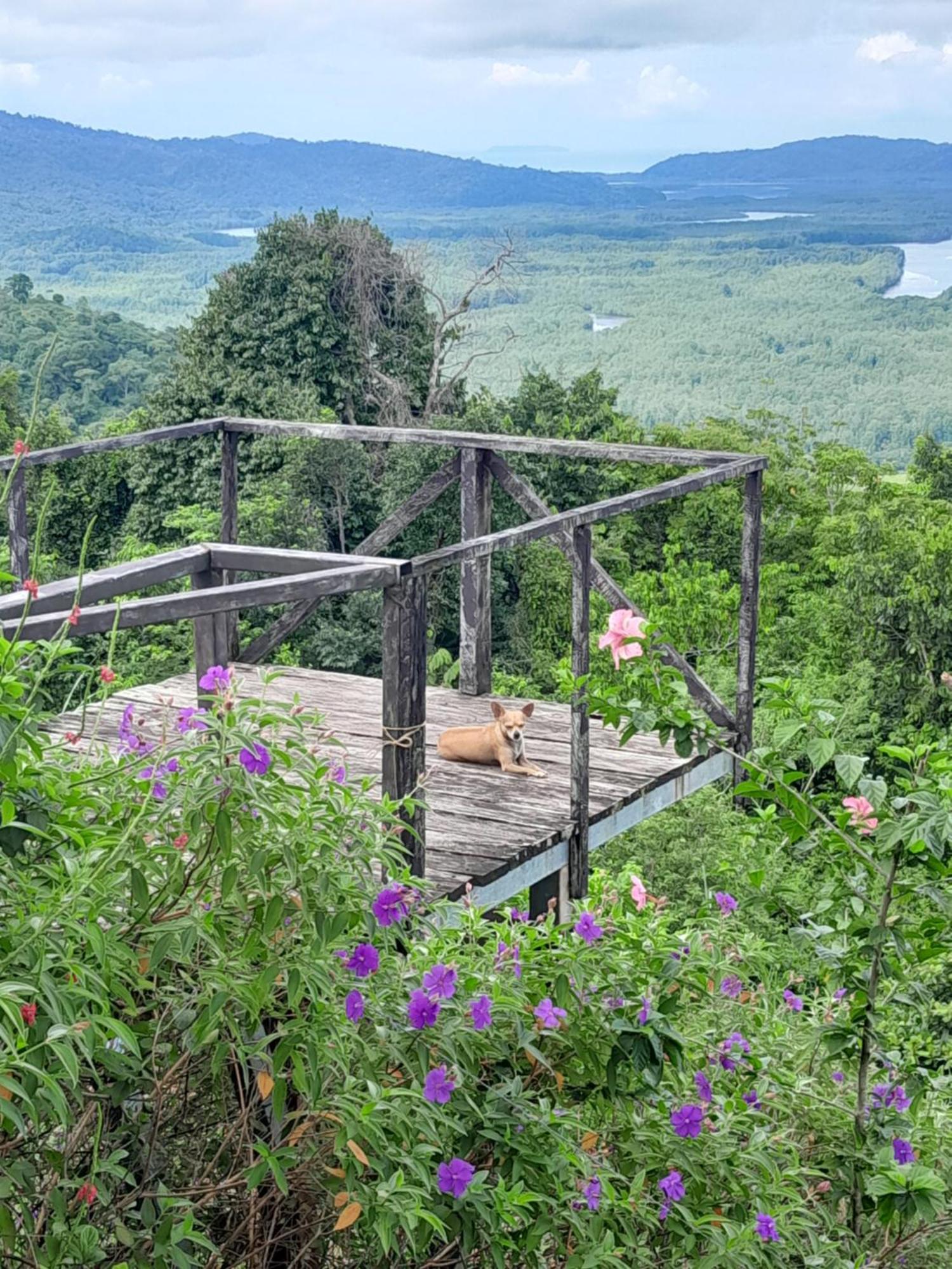 Finca La Puesta Del Sol - Miramar De Sierpe Szoba fotó