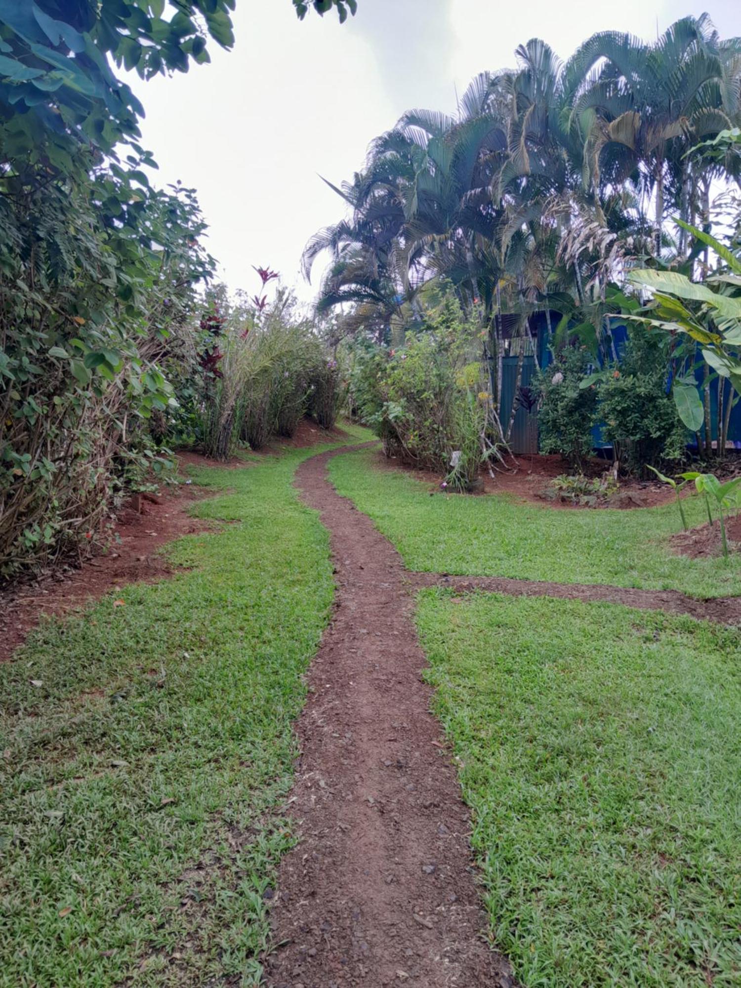 Finca La Puesta Del Sol - Miramar De Sierpe Szoba fotó